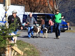 2019_ausstellung polling_071